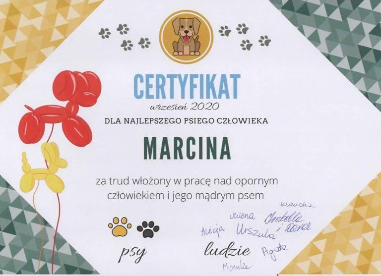certyfikat_marcin_dominiak